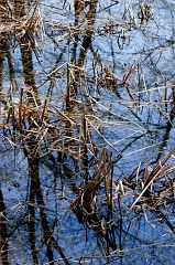 Grass & Water 2